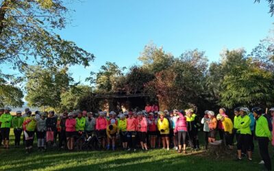 🚴 Voyage Itinérant Occitanie 2025