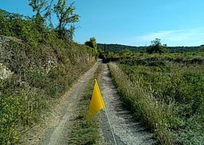 Véloccitanie Marie-Agnès (25)